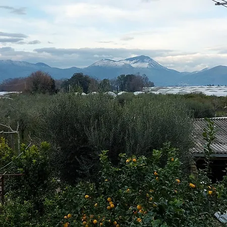 Tenuta Reginella Lido Di Fondi